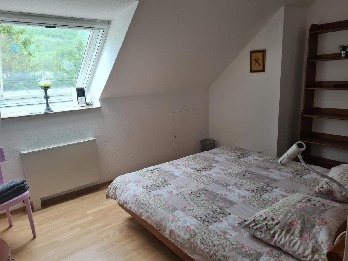 Appartement Paradiso Busingen am Hochrhein Εξωτερικό φωτογραφία
